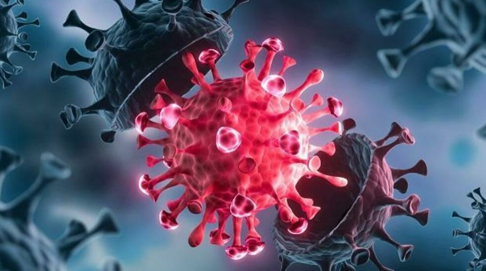 1.2!集合所有毒株特点 变异最严重 已入侵中国"吃人肺"患者死更快