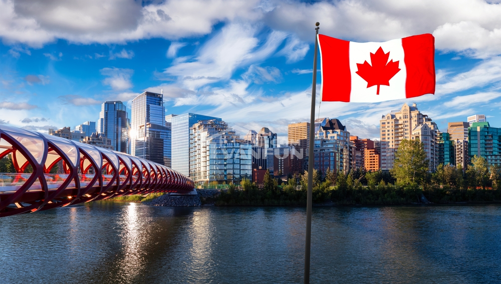 ‍‍ 加拿大移民、难民和公民事务部（IRCC）本月初向国会提交了2022年度移民报告，对过去几年该部门在所有业务领域的工作和成绩进行了全面总结。 报告着重强调了IRCC为了减轻新冠疫情对加拿大移民工作的影响而采取的措施，以及为增加劳动力所做的努力，认为新移民为加拿大从疫情影响中快速恢复做出了非常重要的贡献。 未来三年的工作中，IRCC将以2023-2025移民水平计划设定的目标为指导方针，继续加大力度吸纳新移民。 在亮眼的数据背后，这份年度移民报...
