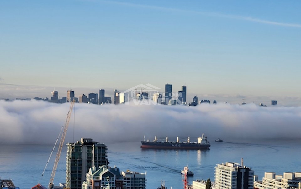昨天早上，很多人在朋友圈发布了雾景照，尤其是住在高层公寓的人，感叹“一觉醒来，感觉自己在云端漫步。”说实话，雾天的温哥华确实挺美的，在昨天一整天，网络上的雾景美照很多，还有摄影师专门用无人机飞到云层以上去拍摄，为大家展示温哥华的仙境。其实最好欣赏温哥华雾景的位置，是各个山的山顶或者山腰处，比如CypressLookout、GrouseMountain，这两天仍然有机会。傍晚的时候雾气稍淡，夕阳的光芒穿透雾气的时候，出片效果无与伦比。如果只是从欣赏风景角度，雾景真的挺梦幻，但如果你全天有...