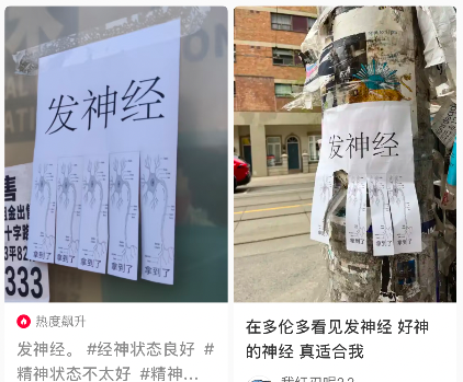 本月以来，大温哥华陆续发生了好几起华人留学生“发神经”事件，涉及列治文、温西、南素里等地。奇怪的是，大家听说此事，第一反应不是有多远躲多远，而是一脸兴奋地打听，“在哪在哪？”“想去看看，下次发神经是什么时候？”迷惑吗？看到“案发现场”，你一定会更加无语！图片来源：小红书@夜空站_Autumn是的，没有歇斯底里的挣扎，没有胡乱飞舞的凶器。一张华人再熟悉不过的“可撕拉小广告”，昔日用来租房、招聘，现在印上“神经元的图片”，贴在墙壁、电线杆上，平静极了。估计“发神经”这个固定搭配自己都没想到...
