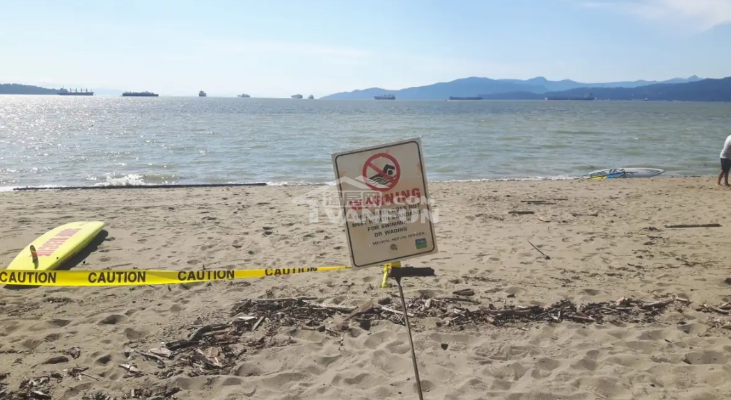 最近在温哥华想找个海滩下水消暑？先等等，最好查一下今天“哪个海滩又被关了”。据各大新闻社报道，‍从2025年7月中旬开始，大温多个热门海滩陆续贴上了“不适宜游泳”的红色告示。大家常去的网红打卡海滩：EnglishBay、KitsilanoBeach、SecondBeach、SunsetBeach、TroutLake等，一个比一个有名，结果一个比一个“细菌旺盛”。根据温哥华沿岸卫生局（VCH）公布的数据，这些海滩的水样检测结果中，大肠杆菌含量远超过加拿大卫生标准（单次样本应低于400MP...