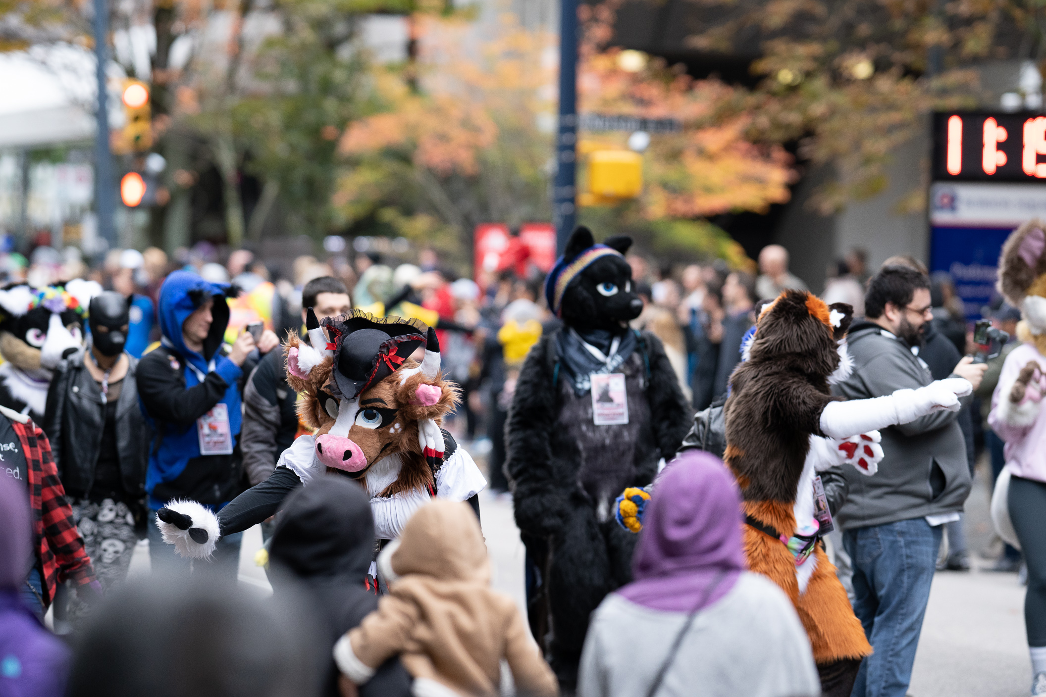 刚刚近10万人聚集在温哥华市中心高呼见鬼了