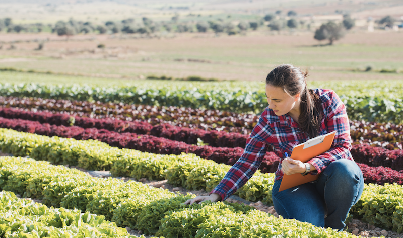 高通胀下加拿大农业收入创历史新高农地投资成热点